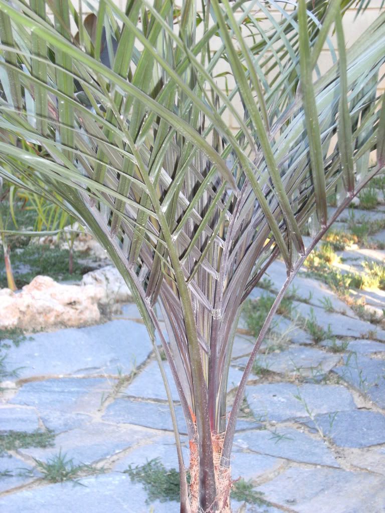 xx200608xx107.jpg