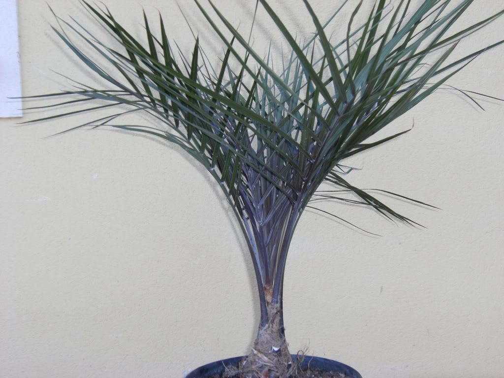 xx200608xx109.jpg