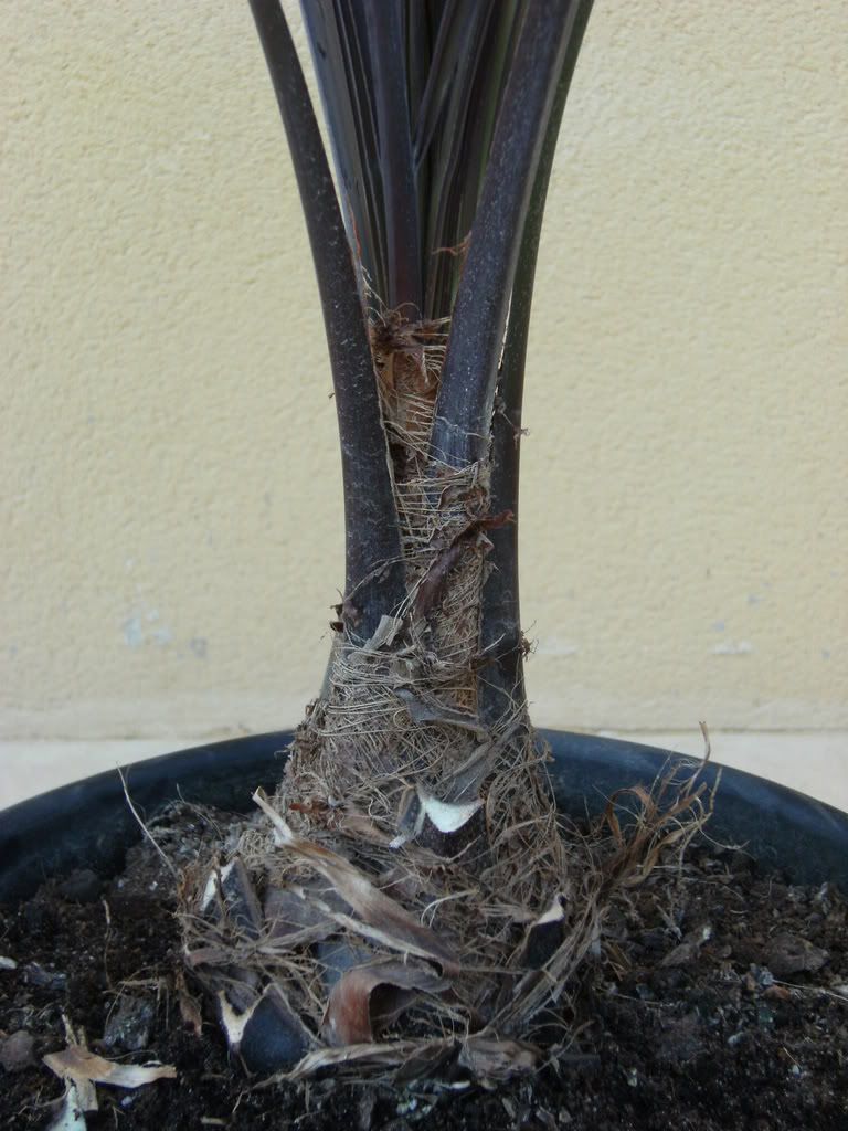 xx200608xx111.jpg