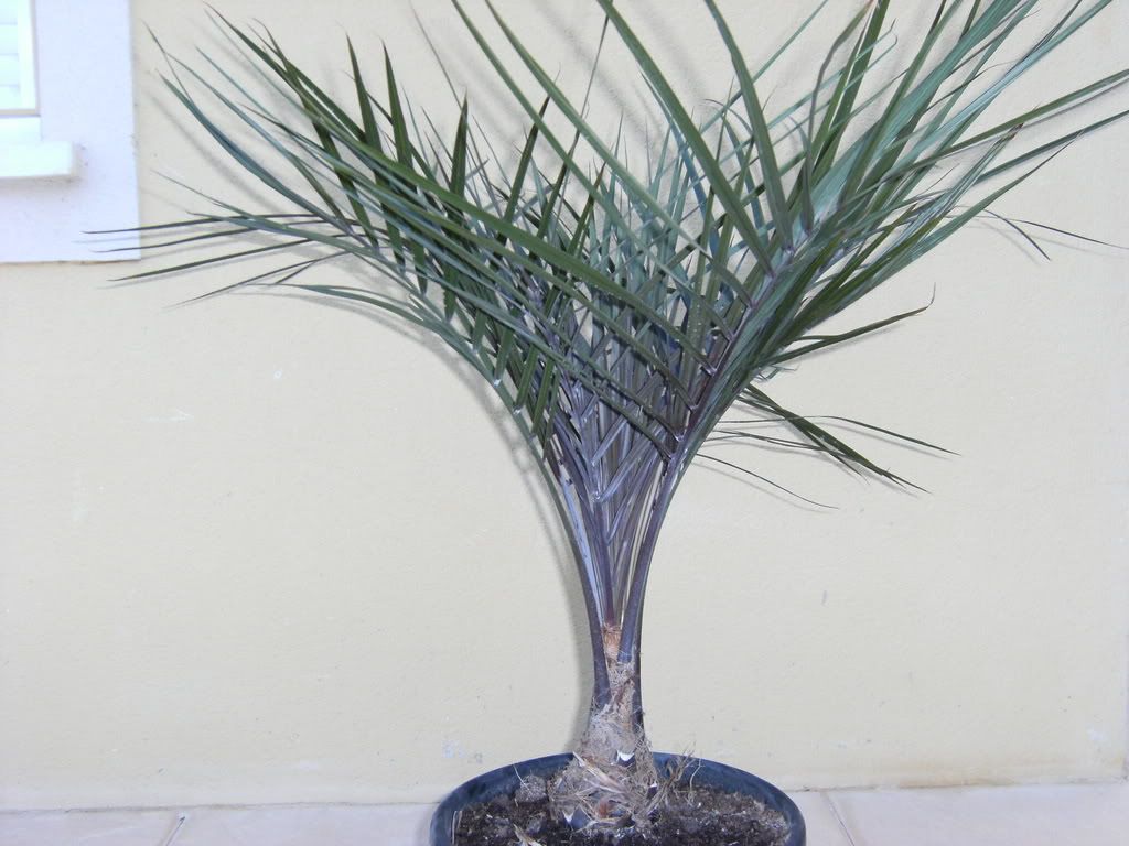 xx200608xx118.jpg