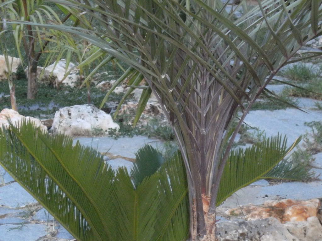 xx200608xx126.jpg