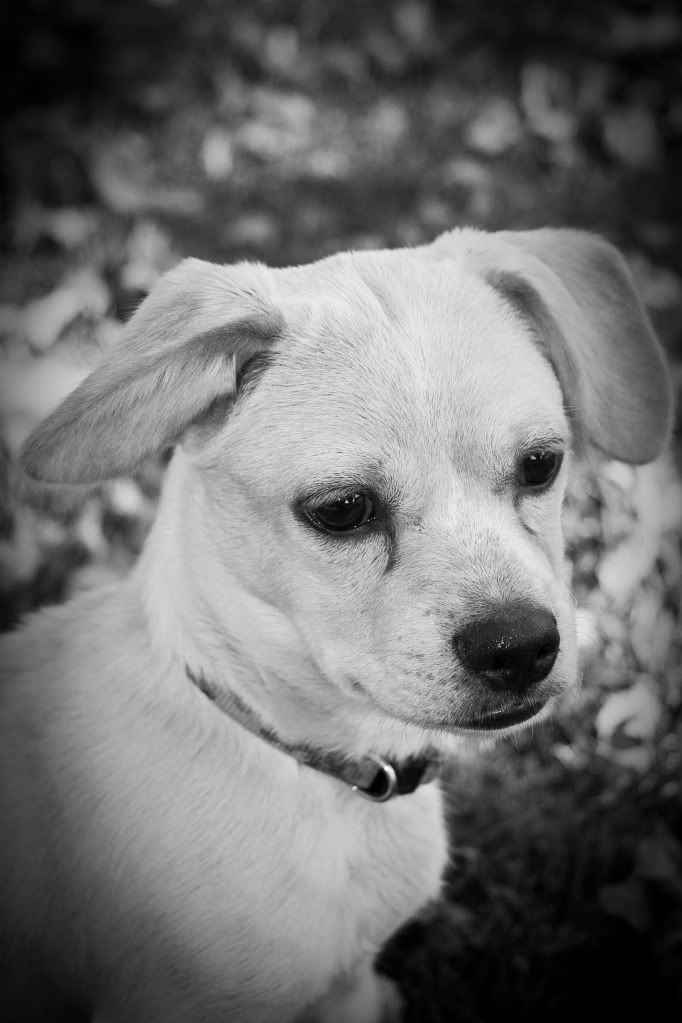 IMAGE: http://i307.photobucket.com/albums/nn291/Jmorales719/IMG_8832.jpg