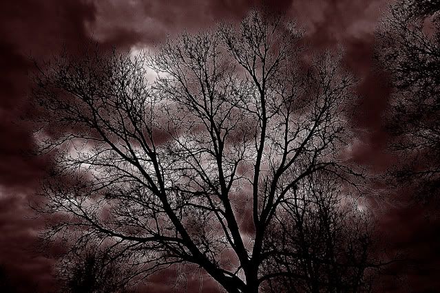 IMAGE: http://i307.photobucket.com/albums/nn291/Jmorales719/dayofjehova.jpg