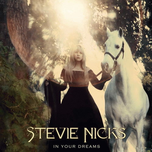 1304160272_1304158882_stevie-nicks-in-your-dreams-artworka.gif