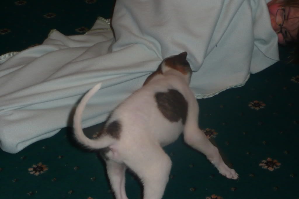flynn030.jpg