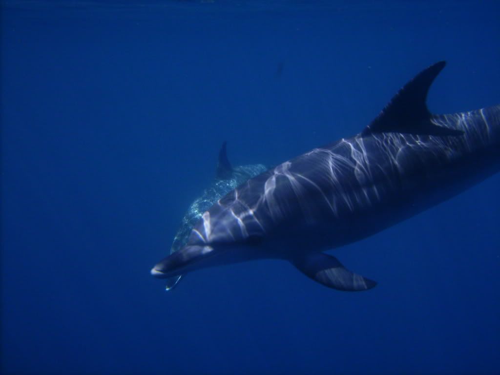 PICT0279.jpg