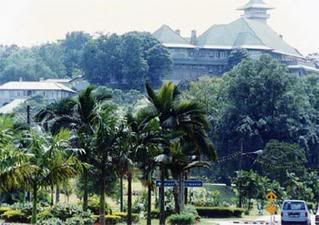 Bukit Serene palace