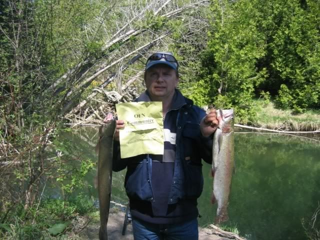 OFNspringbows26and21inches.jpg