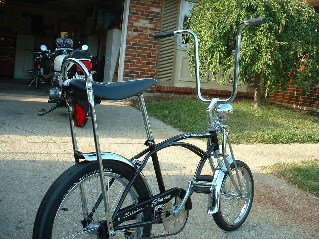 can adults ride a schwinn stingray