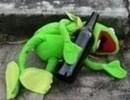 Drunk Kermit the Frog Pictures, Images and Photos