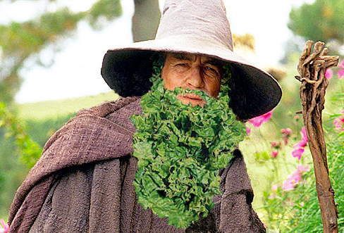 A imagem “http://i307.photobucket.com/albums/nn298/capetalismo/Fotos%20do%20site/lotr1.jpg” contém erros e não pode ser exibida.