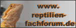 www.reptilien-fachforum.de