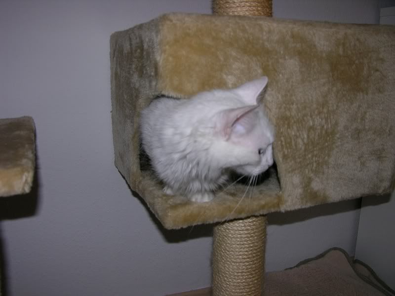 DSCN3098.jpg
