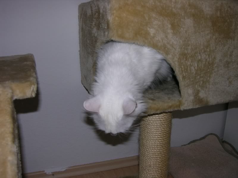 DSCN3099.jpg