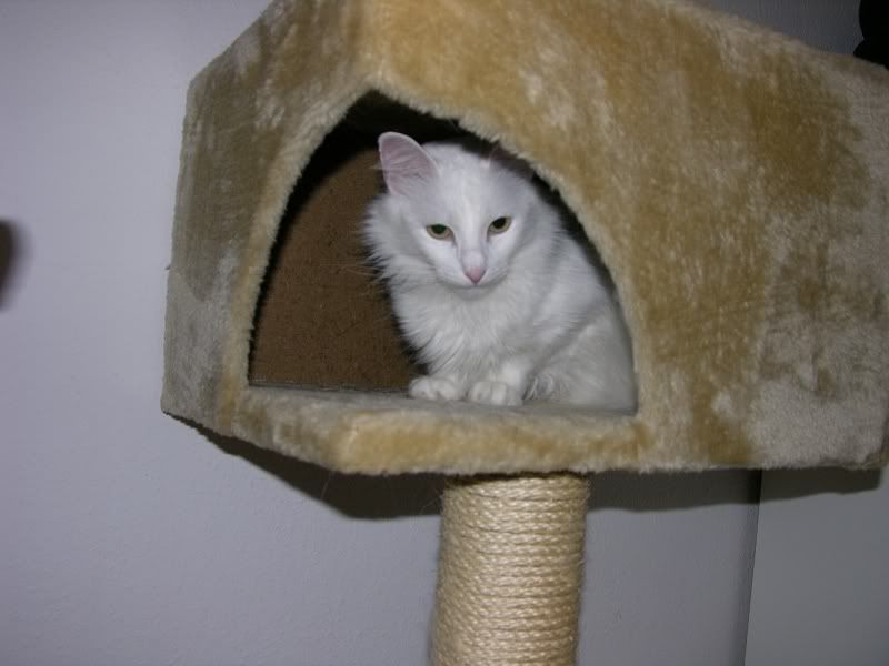 DSCN3101.jpg