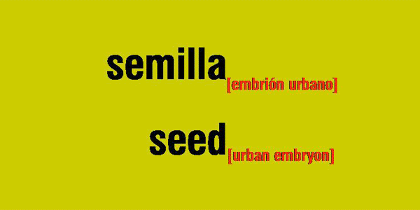 web semilla