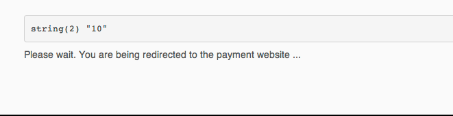 PayPal Payment Processor Problem