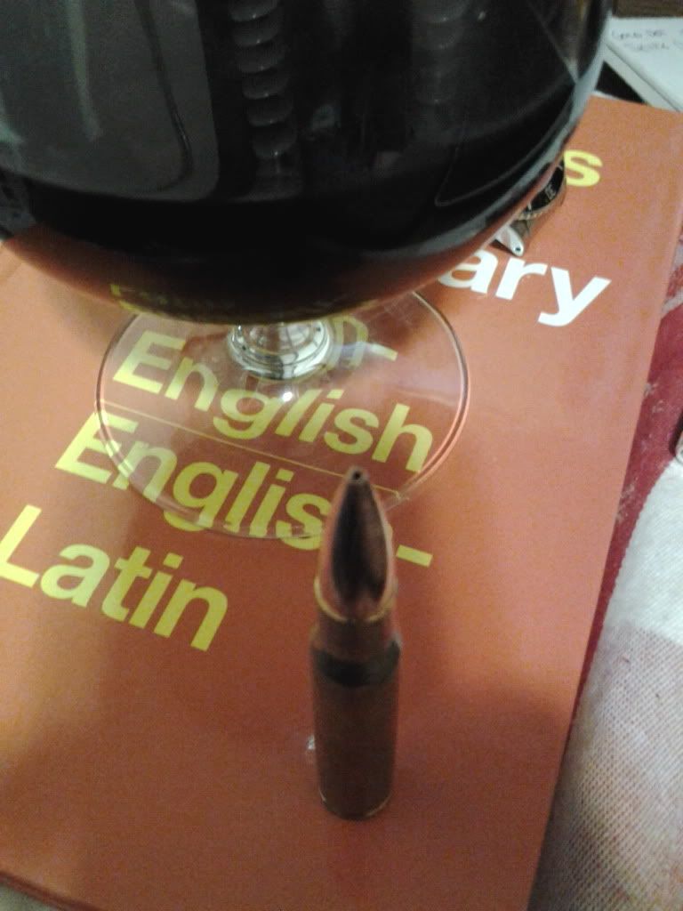 Accuracy Hollow Point vs. Round Nose? Marlin Firearms Forum