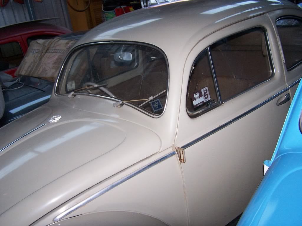 http://i307.photobucket.com/albums/nn300/volma1_volkswagen/Mypicsforsale5.jpg http://i307.photobucket.com/albums/nn300/volma1_volkswagen/Mypicsforsale5.jpg