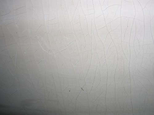 DSCN1474.jpg