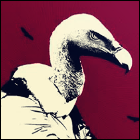 avatarvultures.png