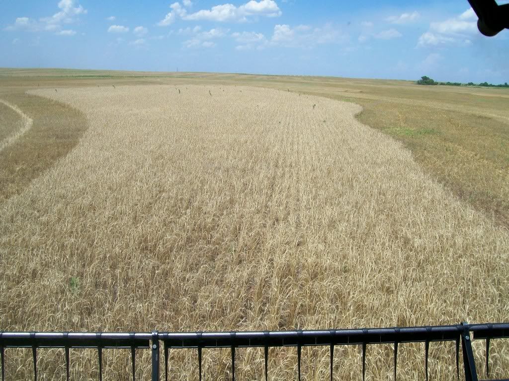 The last pass of wheat in Oklahoma
