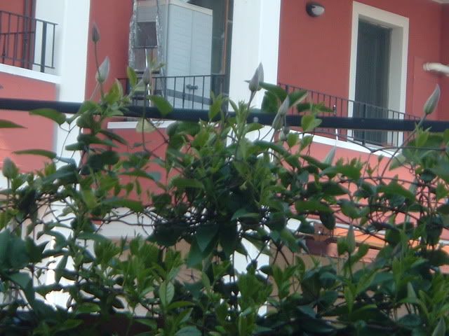 DSCF5690.jpg