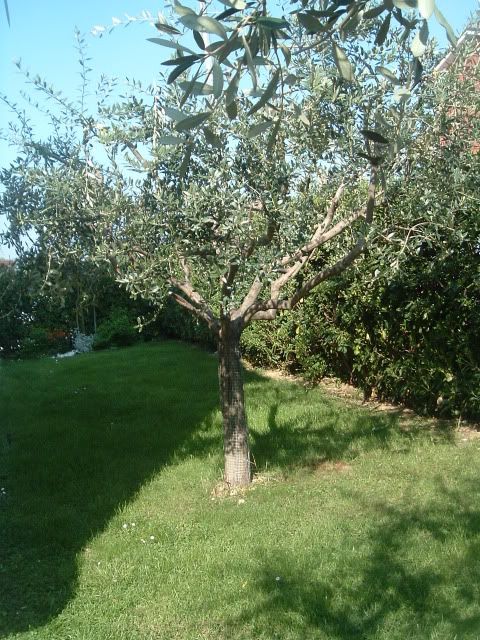 DSCF5718.jpg