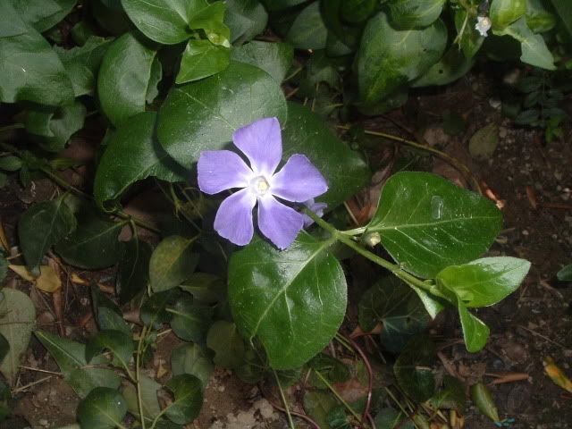 DSCF5722.jpg