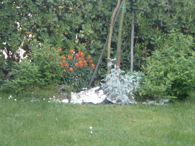 DSCF5731.jpg