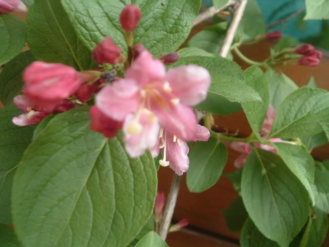 DSCF5754.jpg