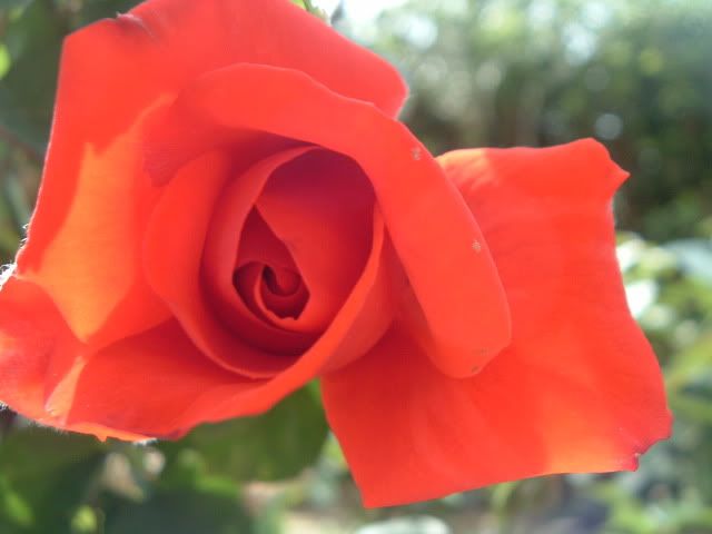 DSCF5768.jpg