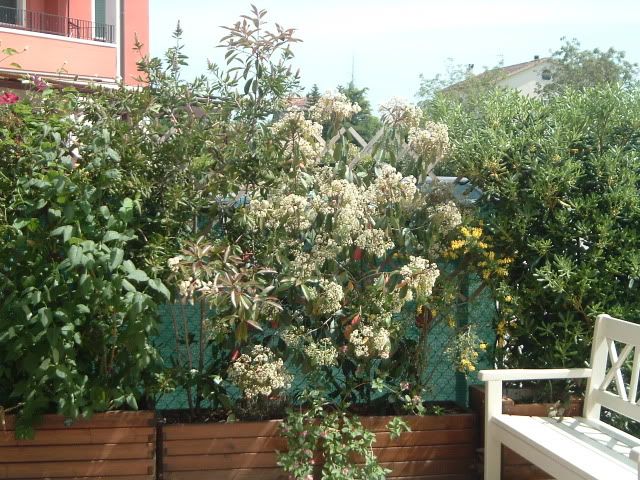 DSCF5773.jpg
