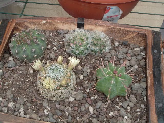 DSCF5806.jpg
