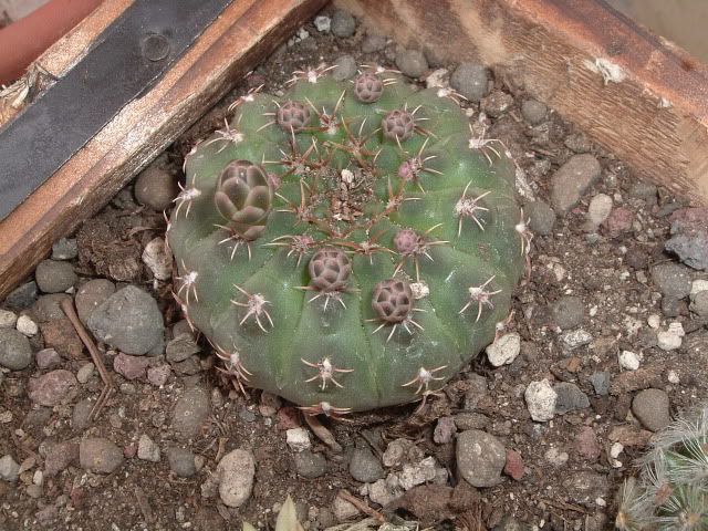 DSCF5809.jpg