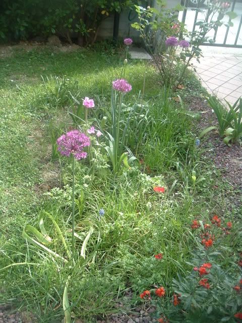 DSCF5813.jpg