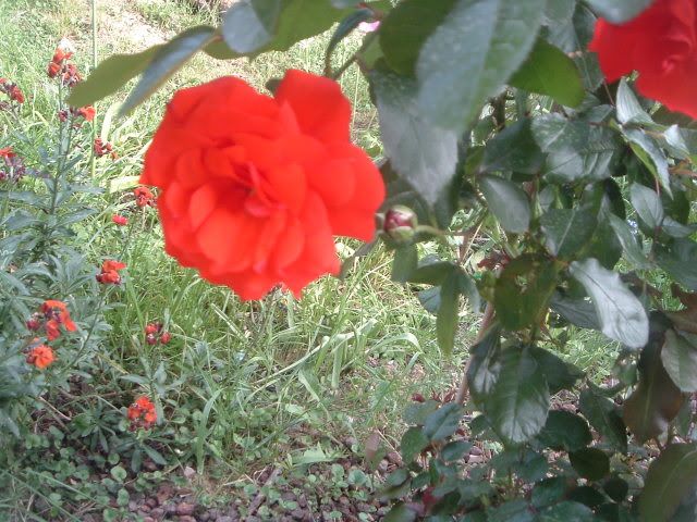 DSCF5824.jpg