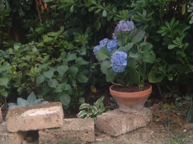 DSCF5826.jpg