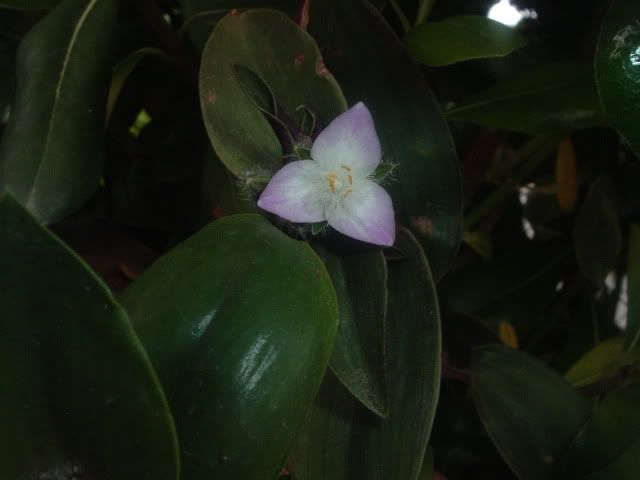 DSCF5827.jpg
