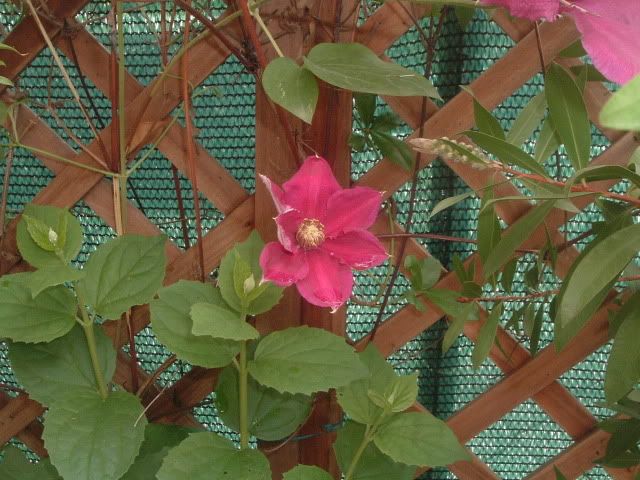 DSCF5832.jpg