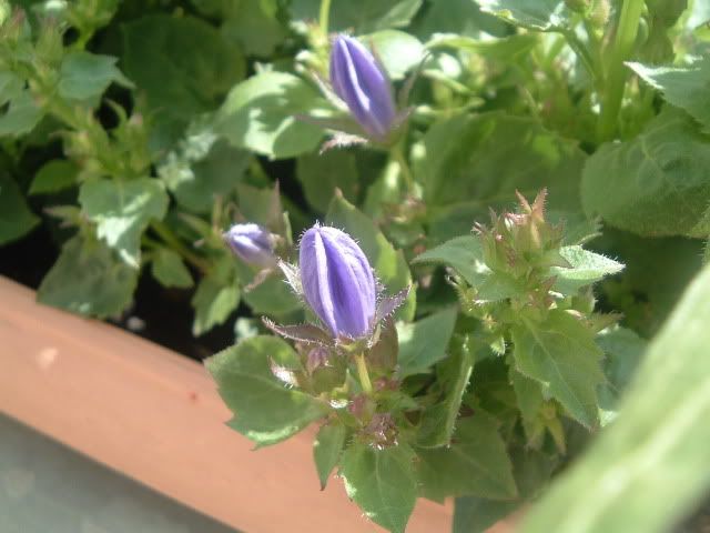DSCF5837.jpg