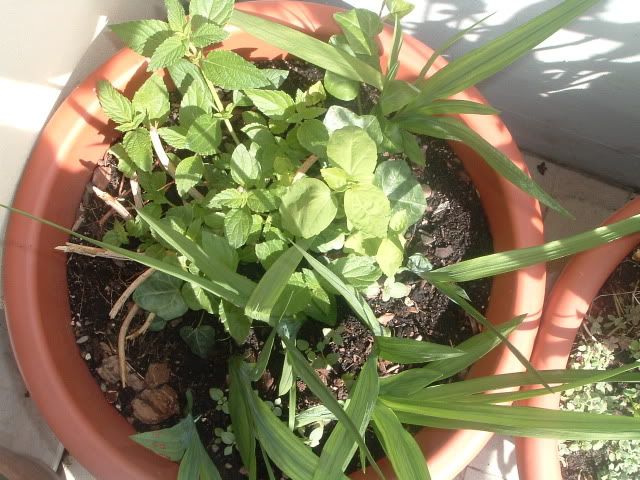 DSCF5851.jpg