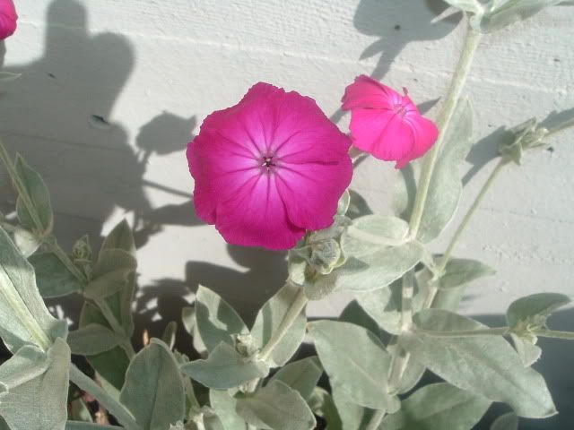 DSCF5853.jpg