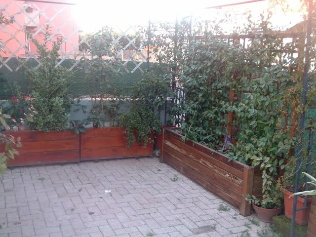 DSCF5365.jpg