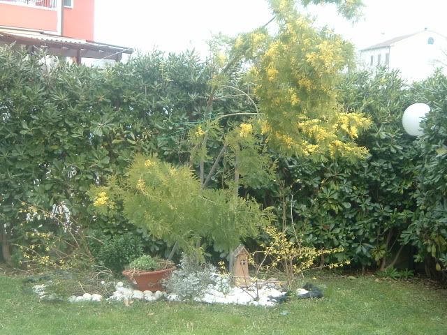 DSCF5444.jpg