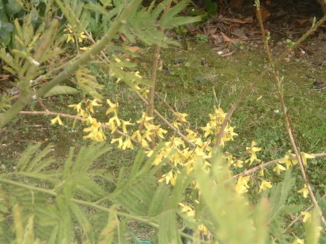 DSCF5482.jpg