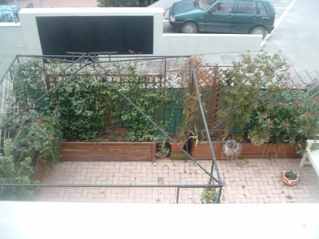DSCF5503.jpg