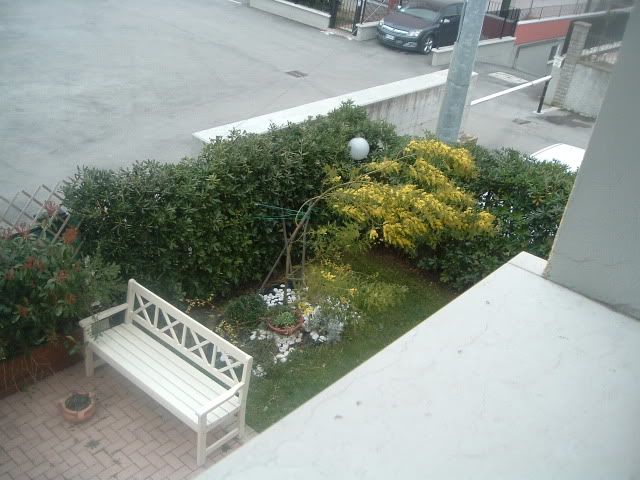 DSCF5504.jpg