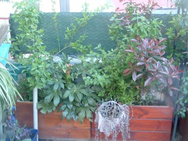 DSCF5640.jpg