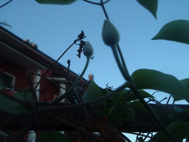 DSCF5645.jpg